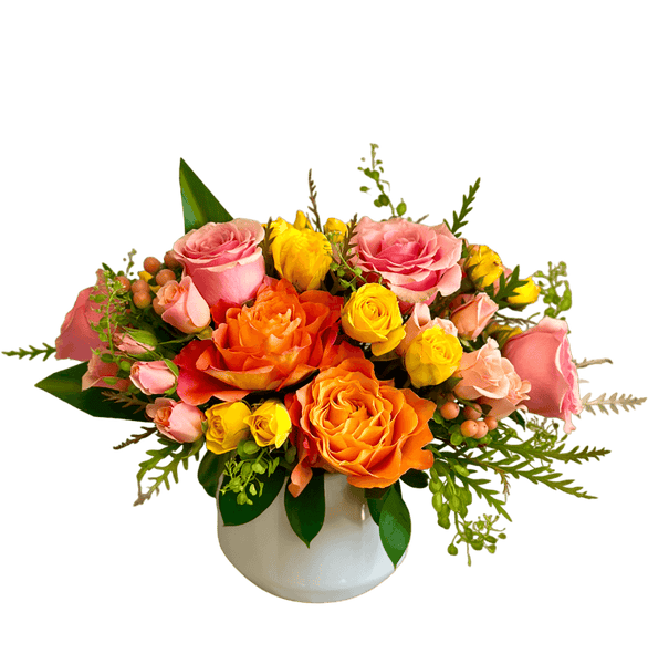 Stevie the cutting garden