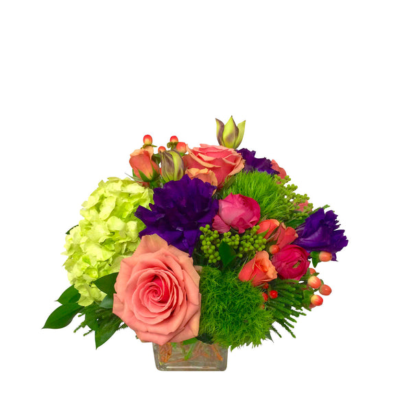 Hannah the cutting garden