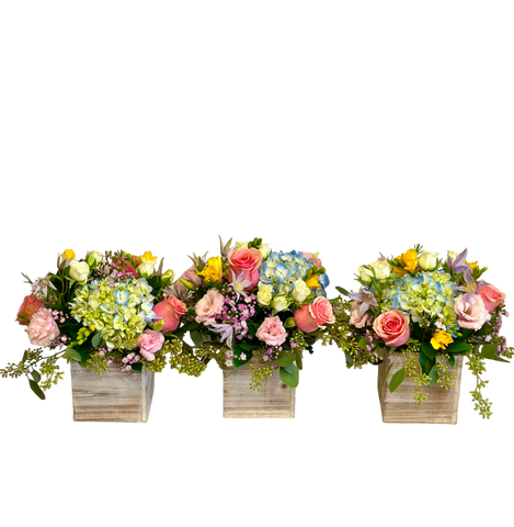 Centerpiece Trio  No. 1