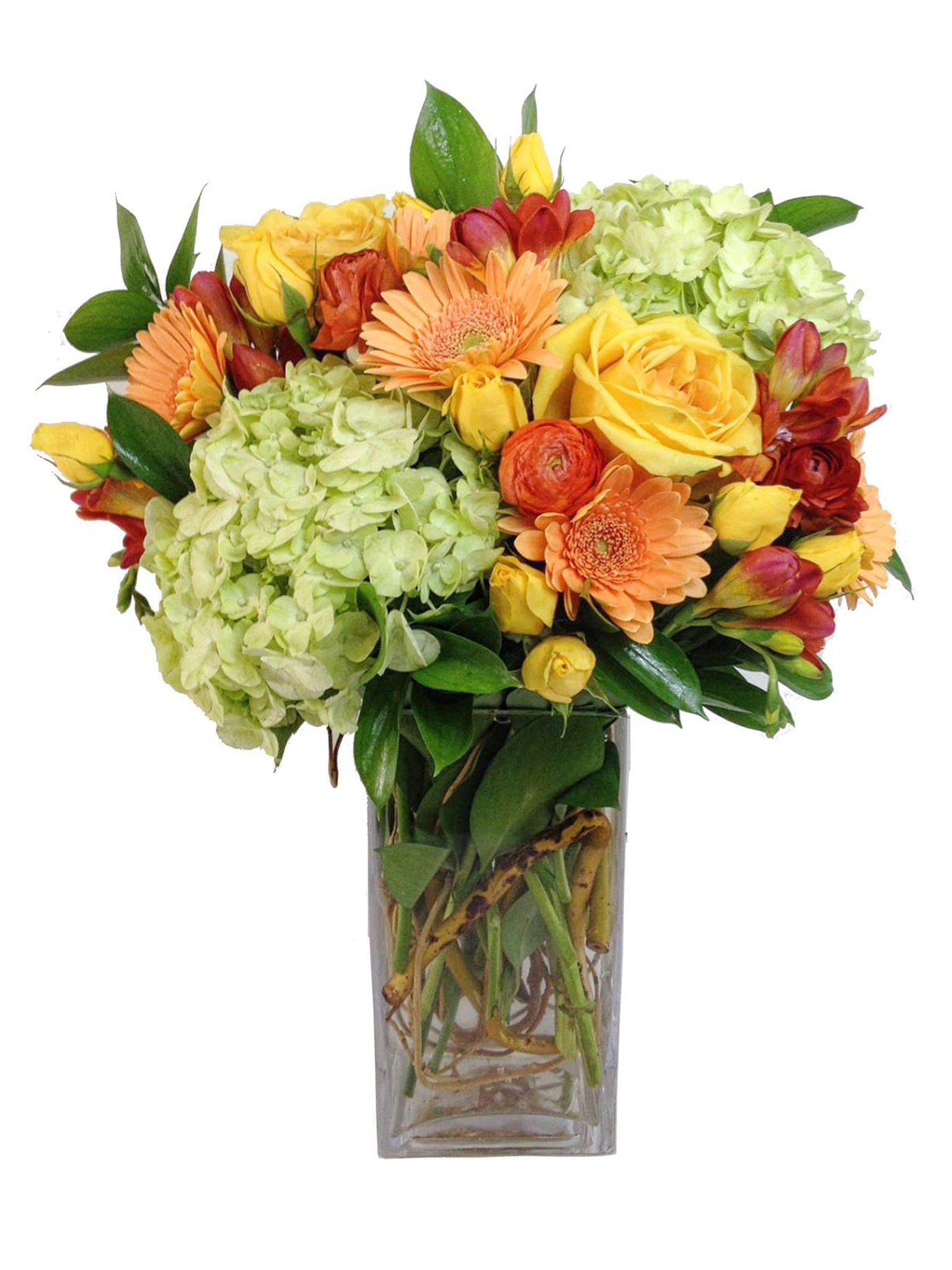 Flower Roxy Roxy – the cutting garden